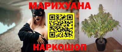 мяу мяу мука Свободный