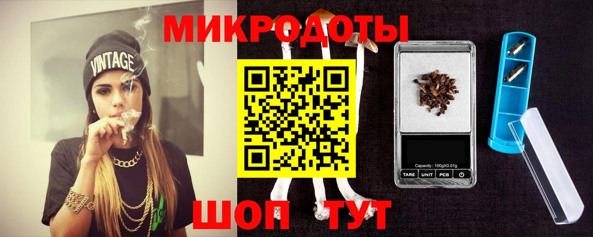 Галлюциногенные грибы Psilocybe Протвино